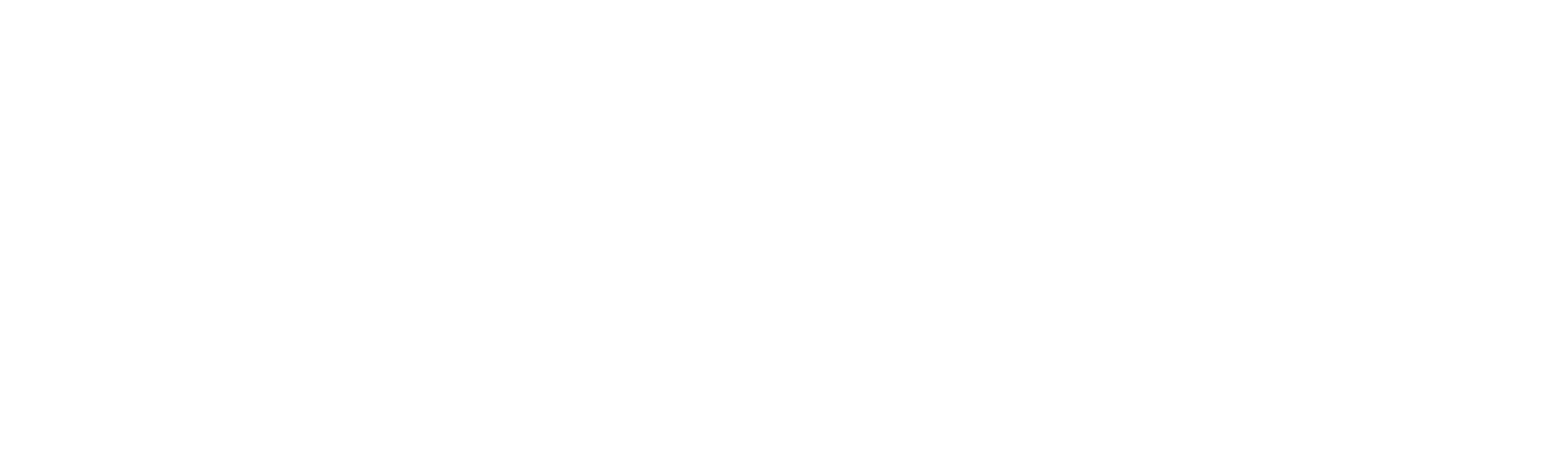 The Property Doctors