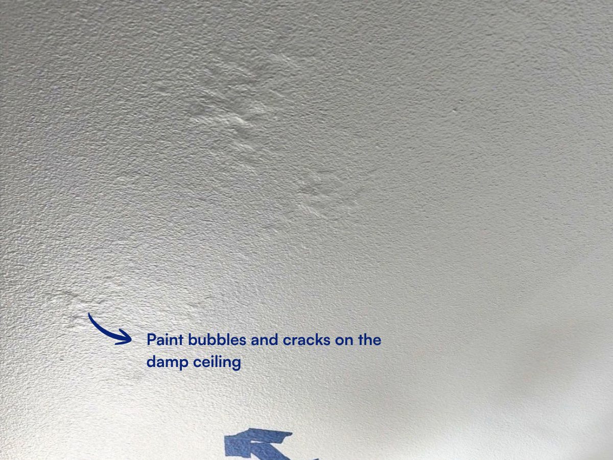Paint bubbling and cracking on the damp ceiling.