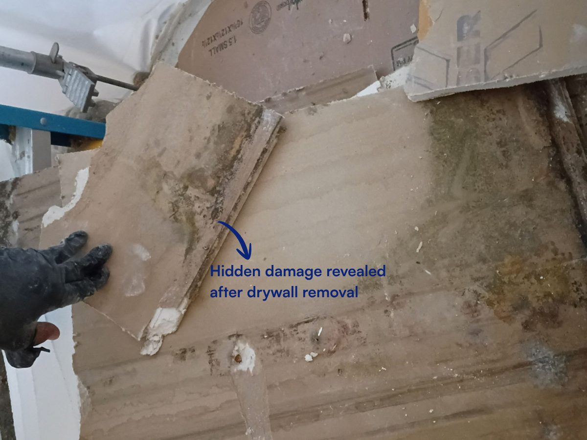 A gloved hand pulling away drywall to reveal stained, damaged material behind it.