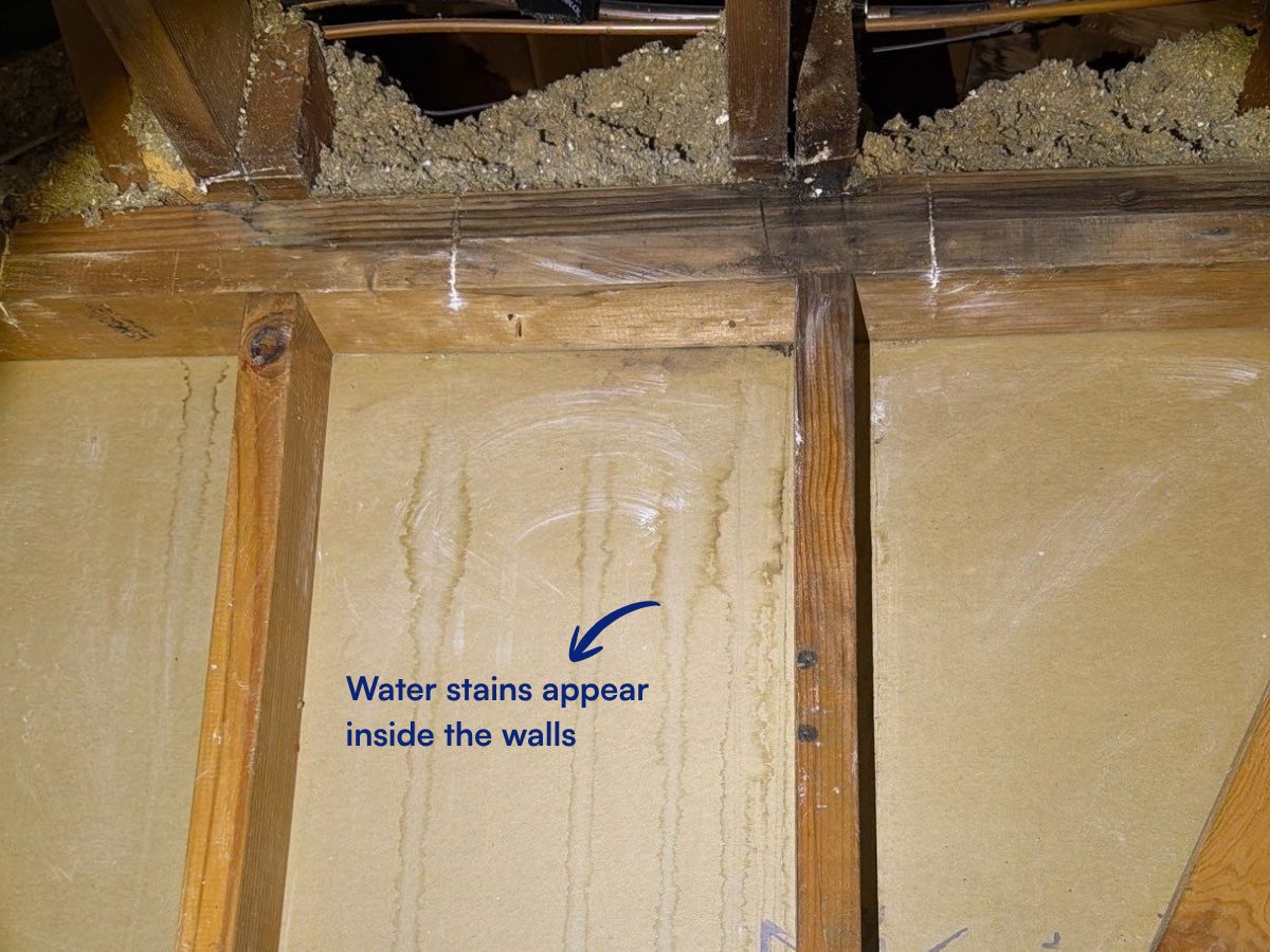 Opened wall cavity showing water stains running down the framing and sheathing.