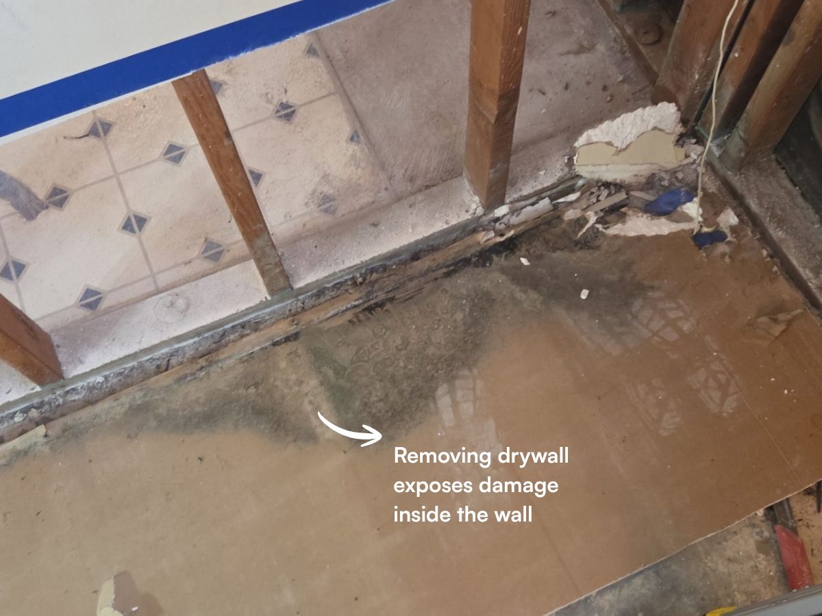 Drywall removed along the base of the wall, exposing mold and water damage inside the wall cavity.