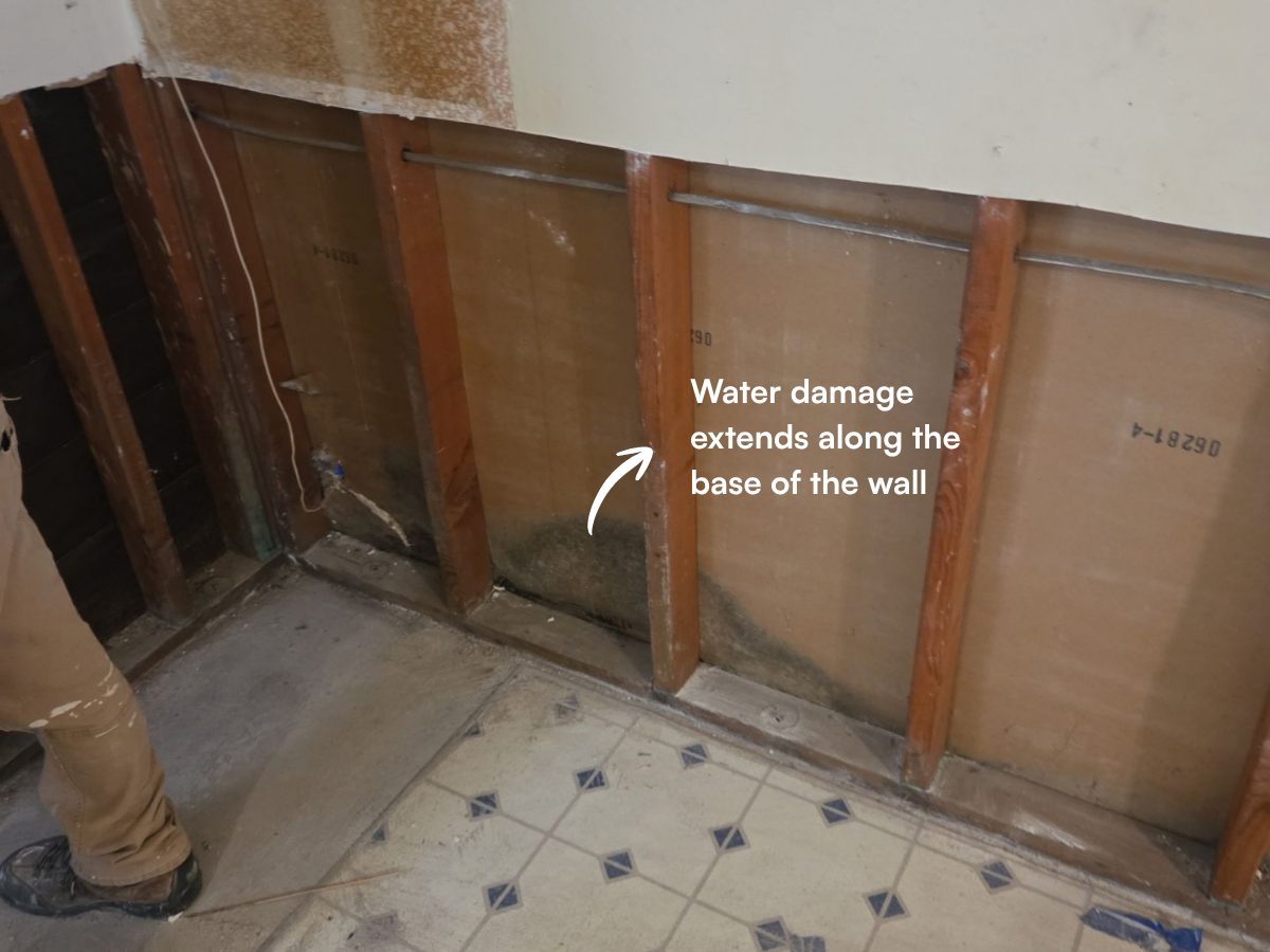 Opened wall framing showing water damage running along the base of the wall.